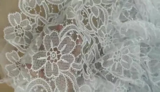 Tissu de dentelle de broderie de coton de polyester de mode pour la robe